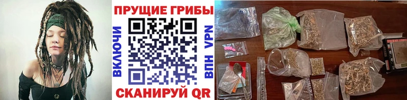 Купить  Дагестанские Огни  Галлюциногенные грибы MAGIC MUSHROOMS 